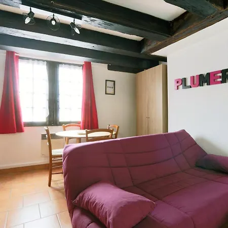 Appartement T2 View On #placeplumereau #tours